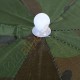 Paraguas -Sombrero camuflaje
