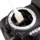 Bastoncillos limpieza sensor CCD/CMOS