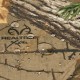 Capelina de camuflaje gruesa "Realtree Xtra"